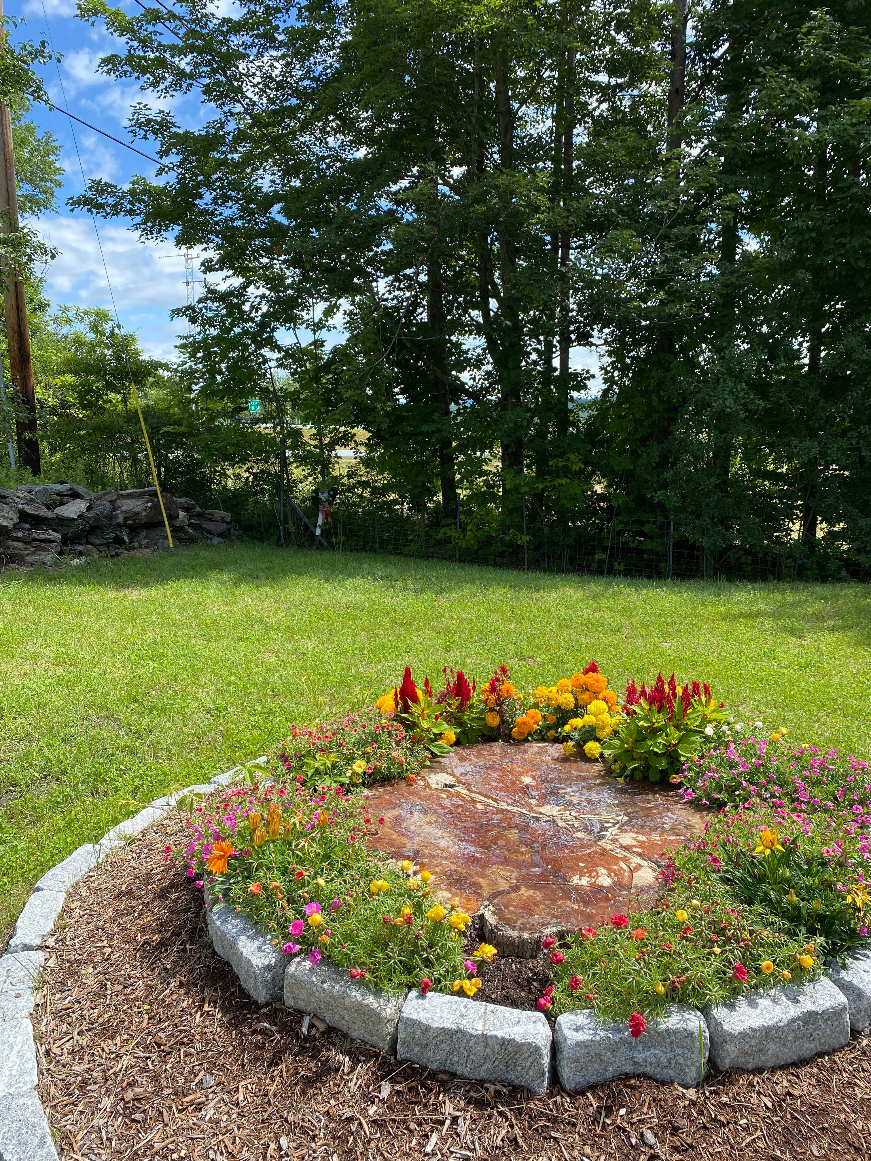 A tree stump surrounded by a ring of flowers and two rings of stones.