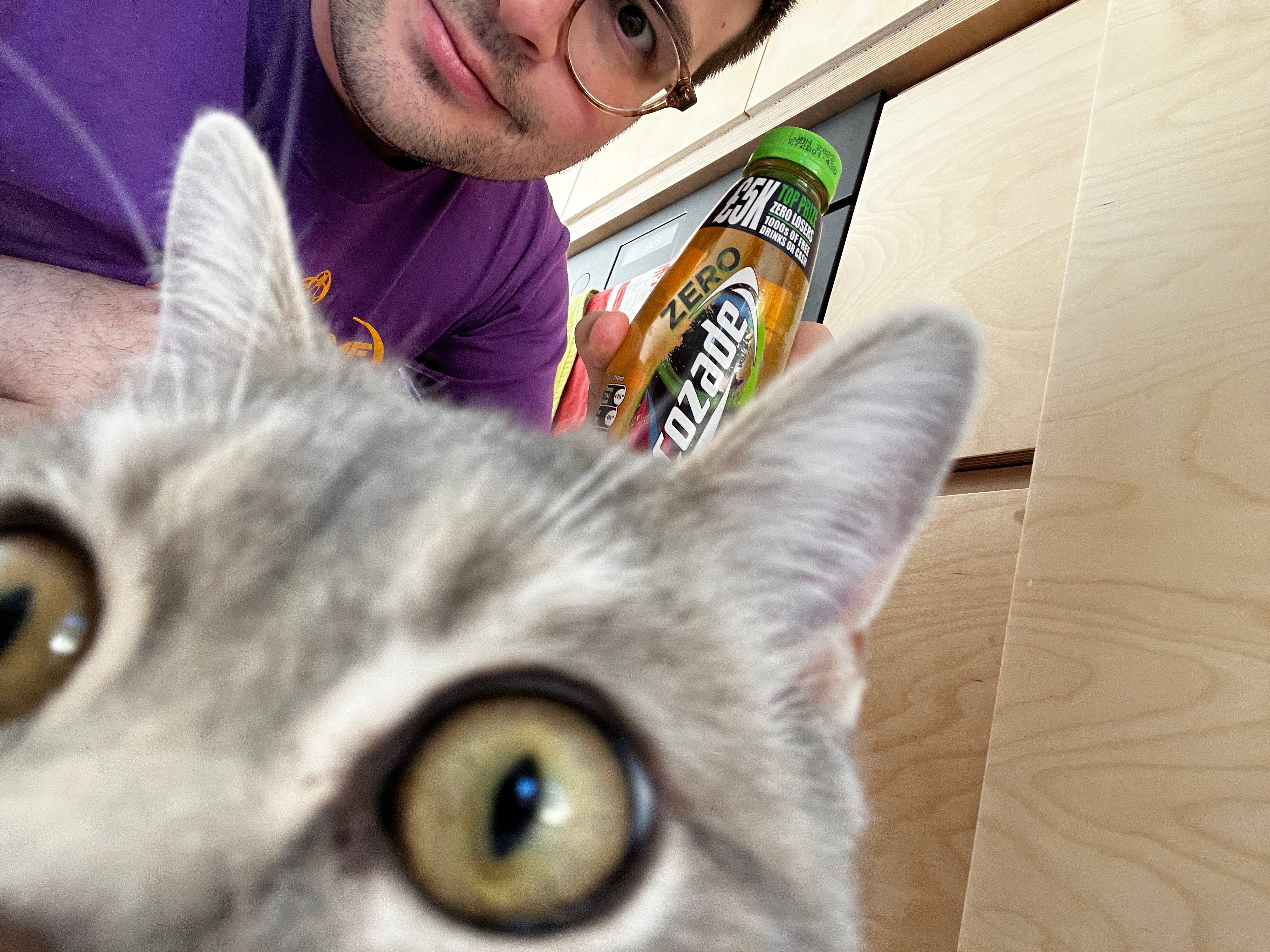 The author holds a Lucozade Zero while the bottom two thirds of the photo is taken up by a curious cat's face.