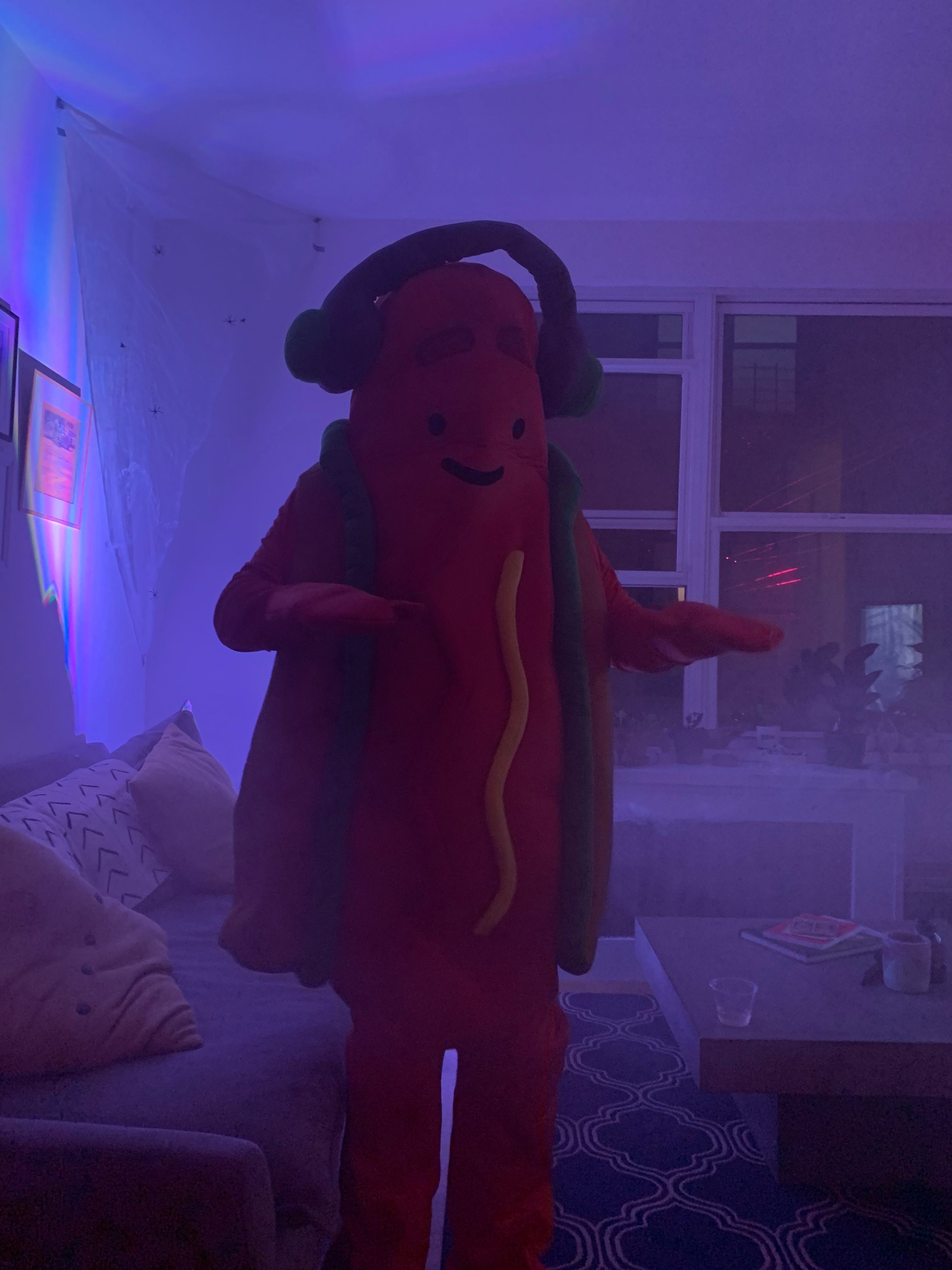 The Snapchat Dancing Hot Dog stands in a foggy apartment, ready to dance.
