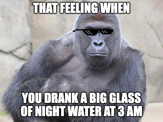 A gorilla wearing sunglasses, "that feeling when you drank a big glass of night water at 3 a.m."