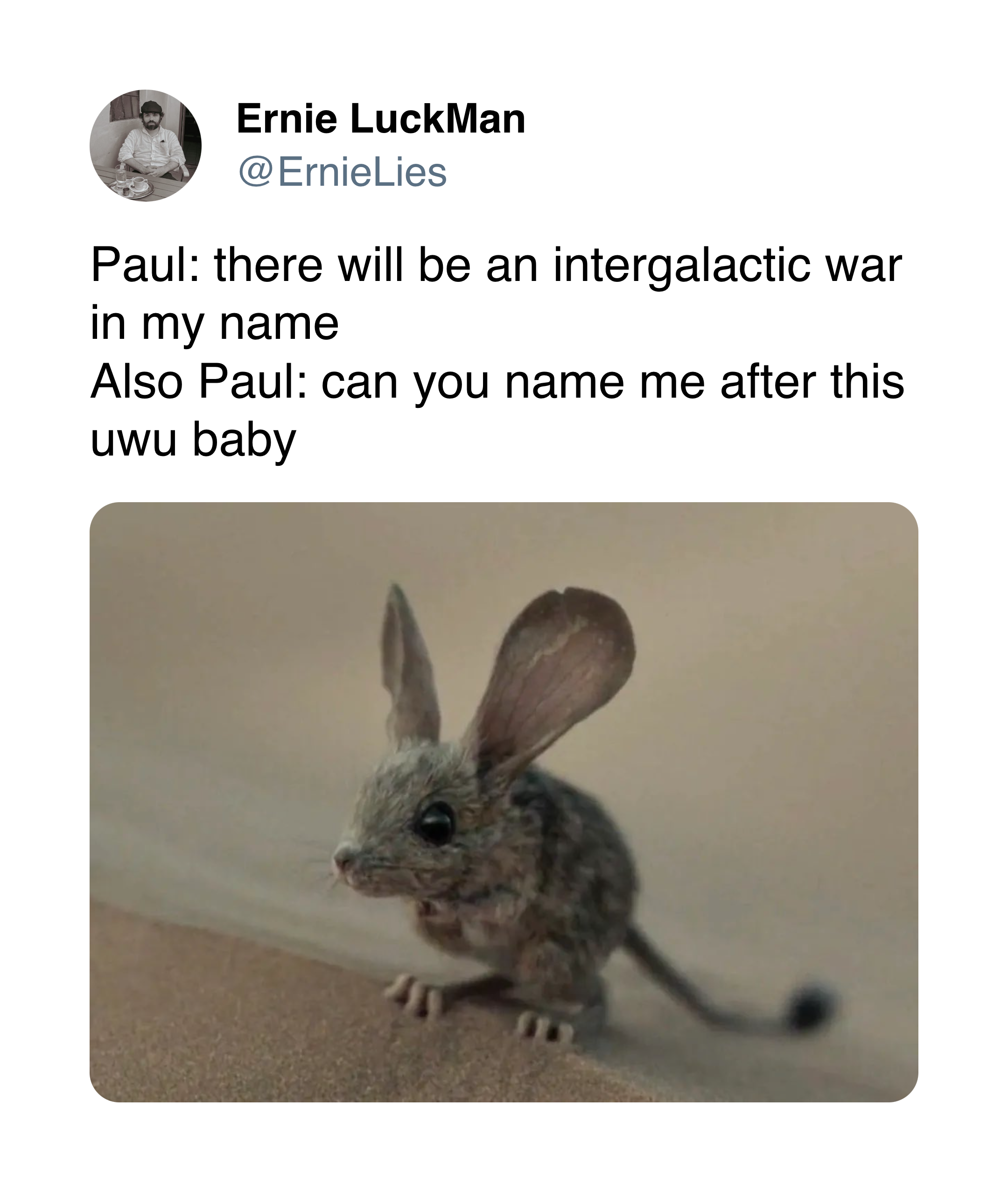 @ErnieLies on Twitter: A photo of the tiny mouse from Dune: Part One. "Paul: there will be an intergalactic war in my name. Also Paul: can you name me after this uwu baby"