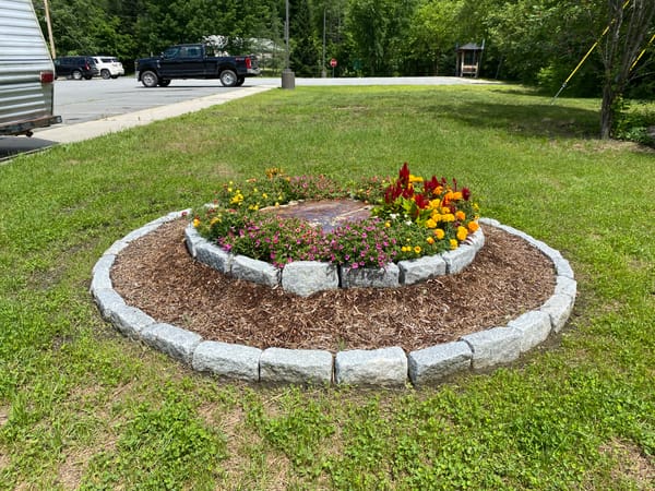 A tree stump surrounded by two rings of stones and flowers.