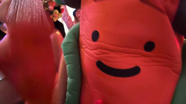 Close-up on a dancing hot dog costume.